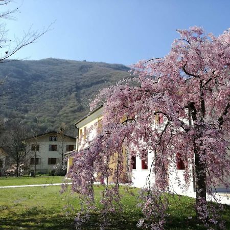 Agriturismo Memento 폴리나 외부 사진